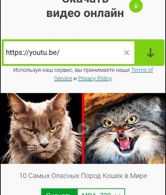 Приложения для просмотра видео на android tv